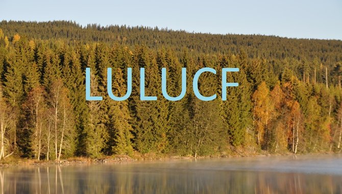 Lulucf